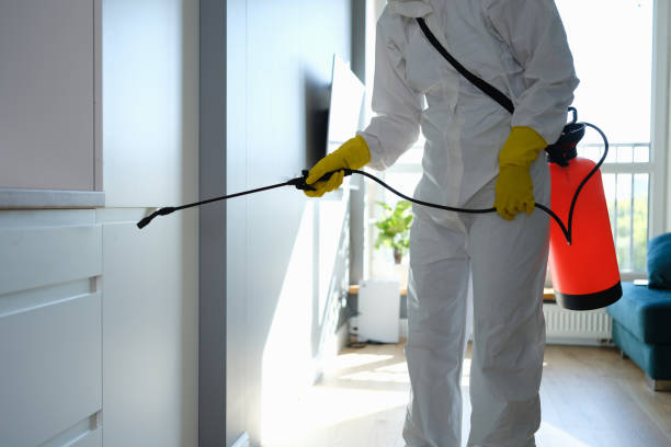 Office Mold Removal Services in Carrabelle, FL