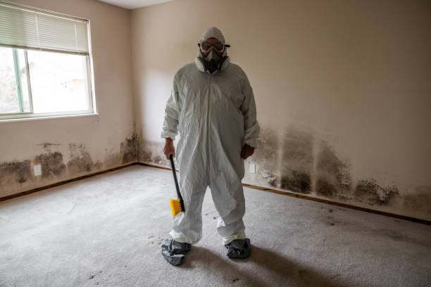 Best Mold Remediation Experts  in Carrabelle, FL